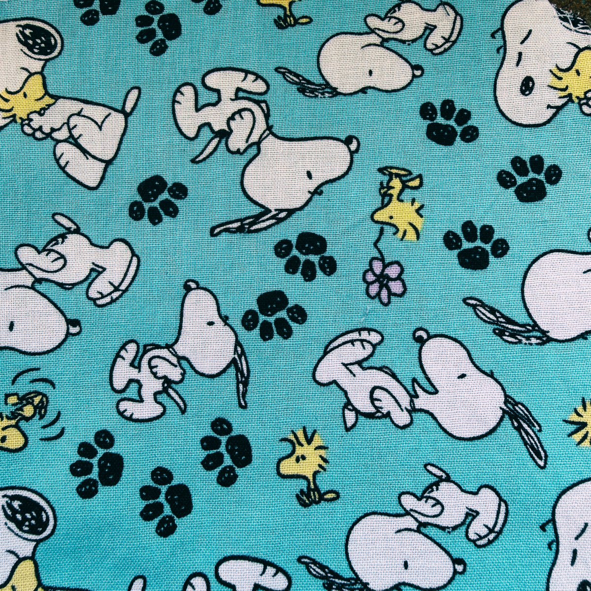 Snoopy