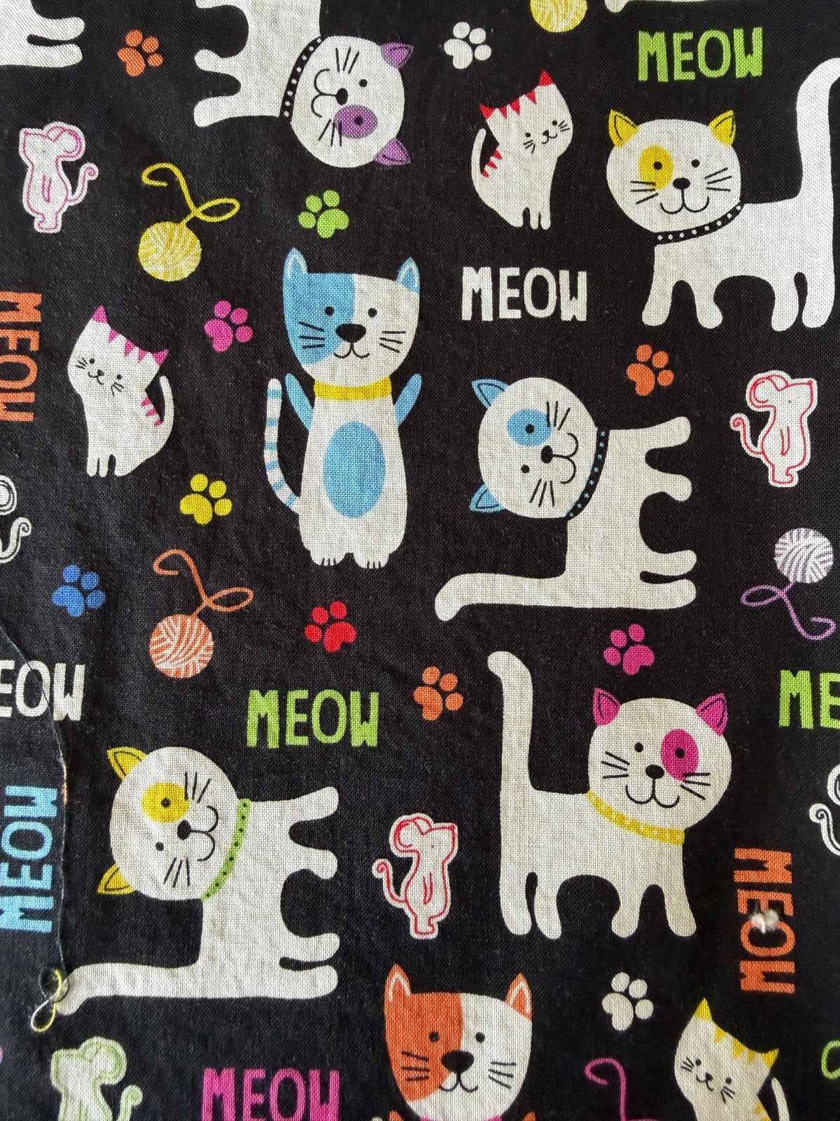 The Cat's Meow